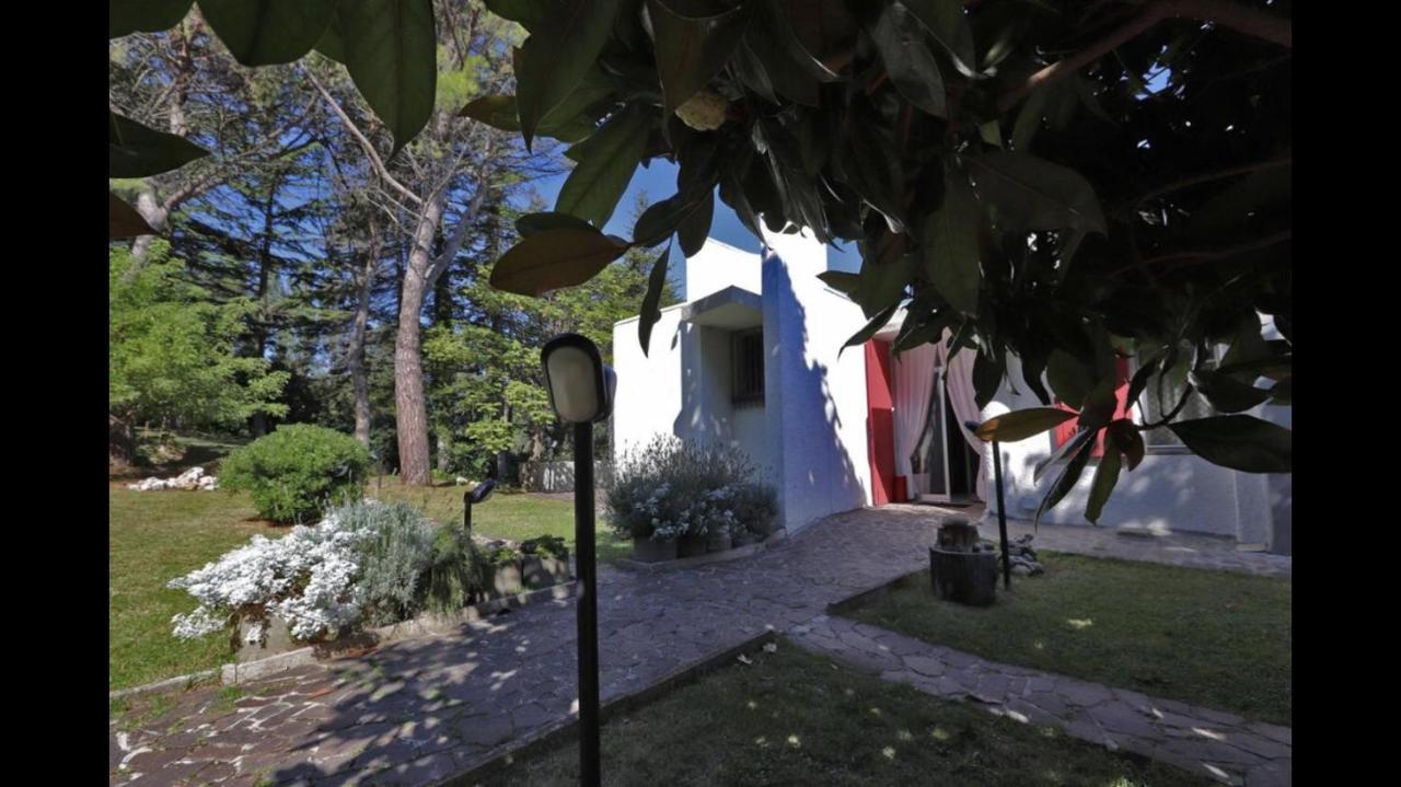 Villa Tanya Trebbiantico Extérieur photo